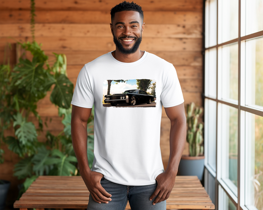 Lincoln - Bagged 65